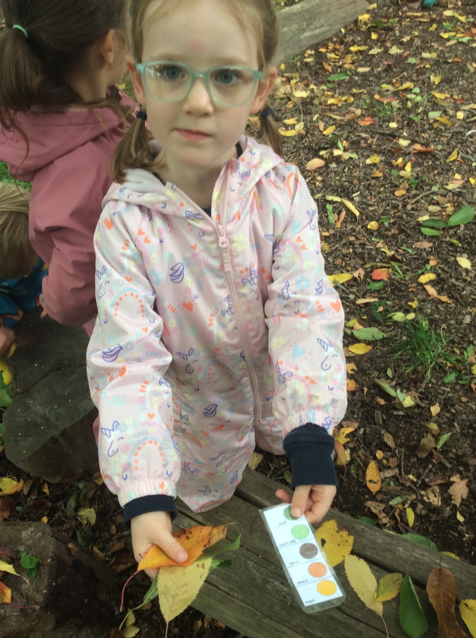 Forest Adventures