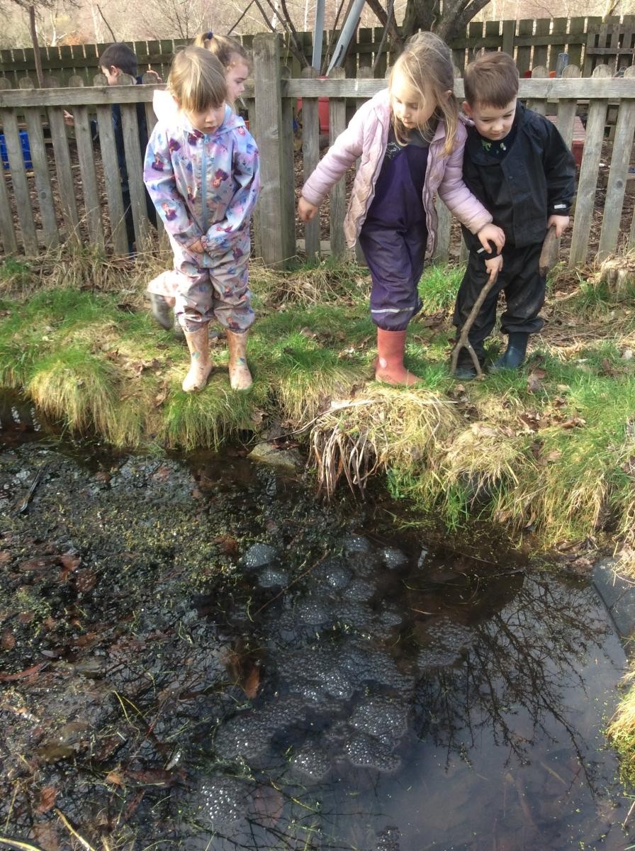 Spotting frogspawn