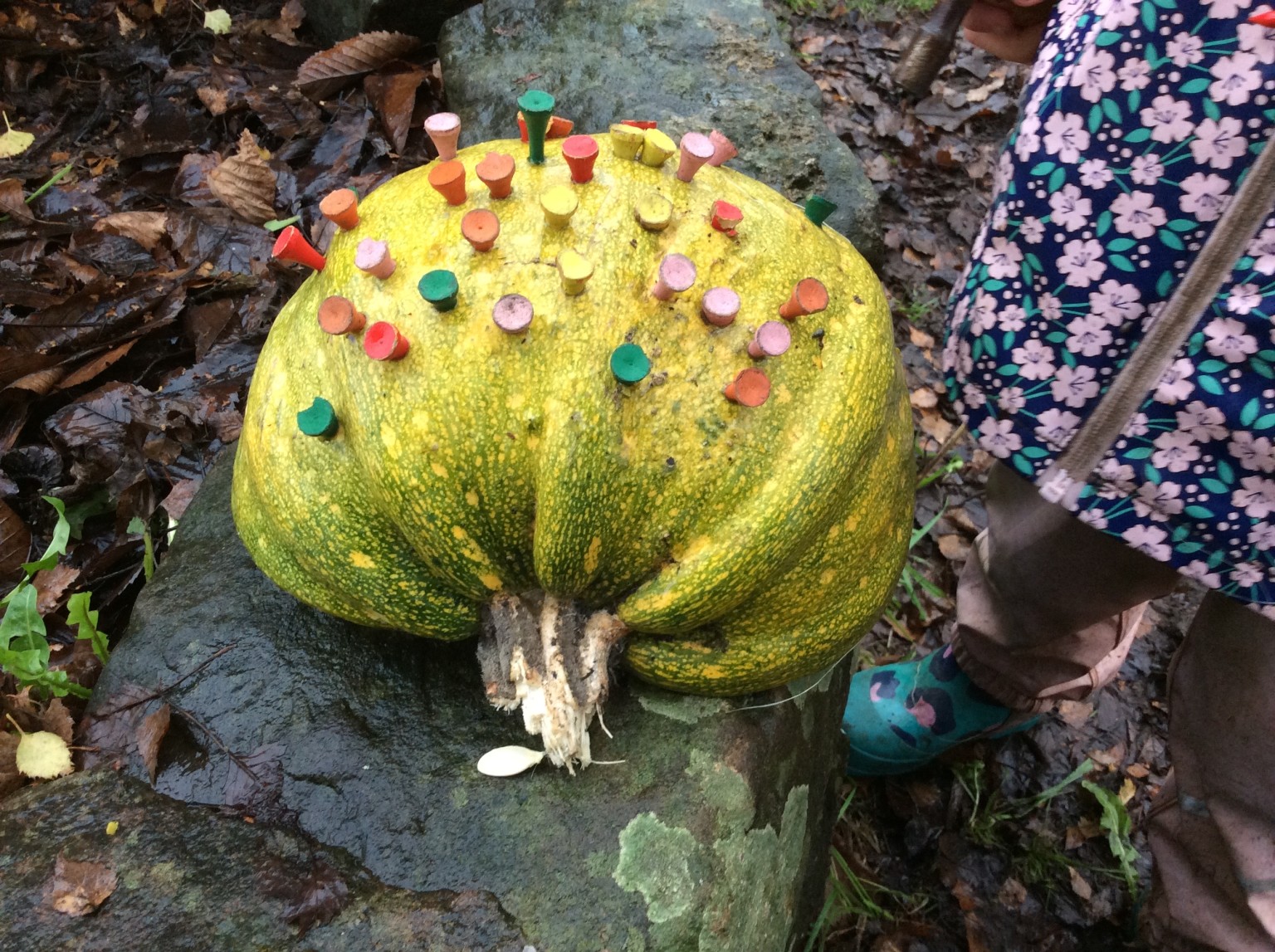 Pumpkin Soup