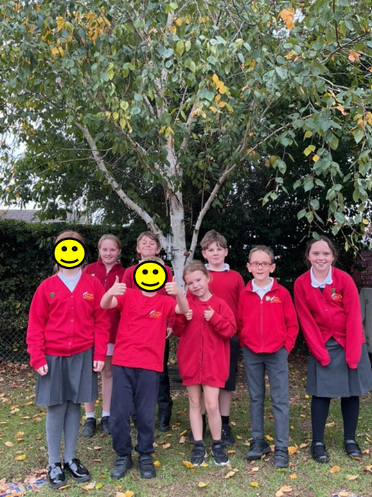 Our Eco Council