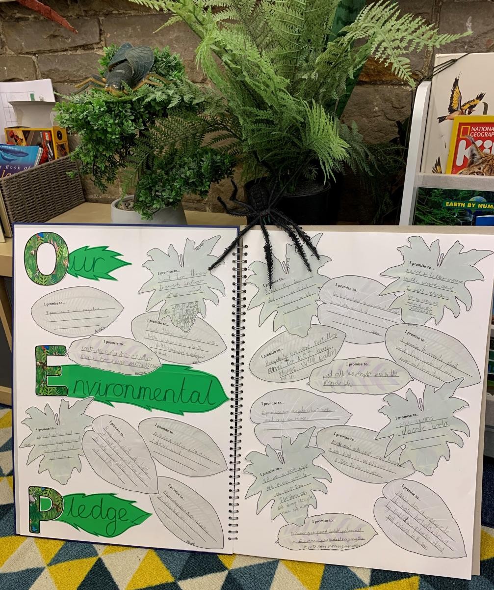 In class 2 we have made pledges to the environment to try and reduce pollution and waste.
