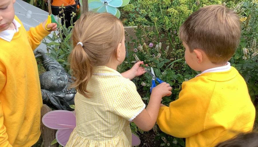 Outdoor Learning