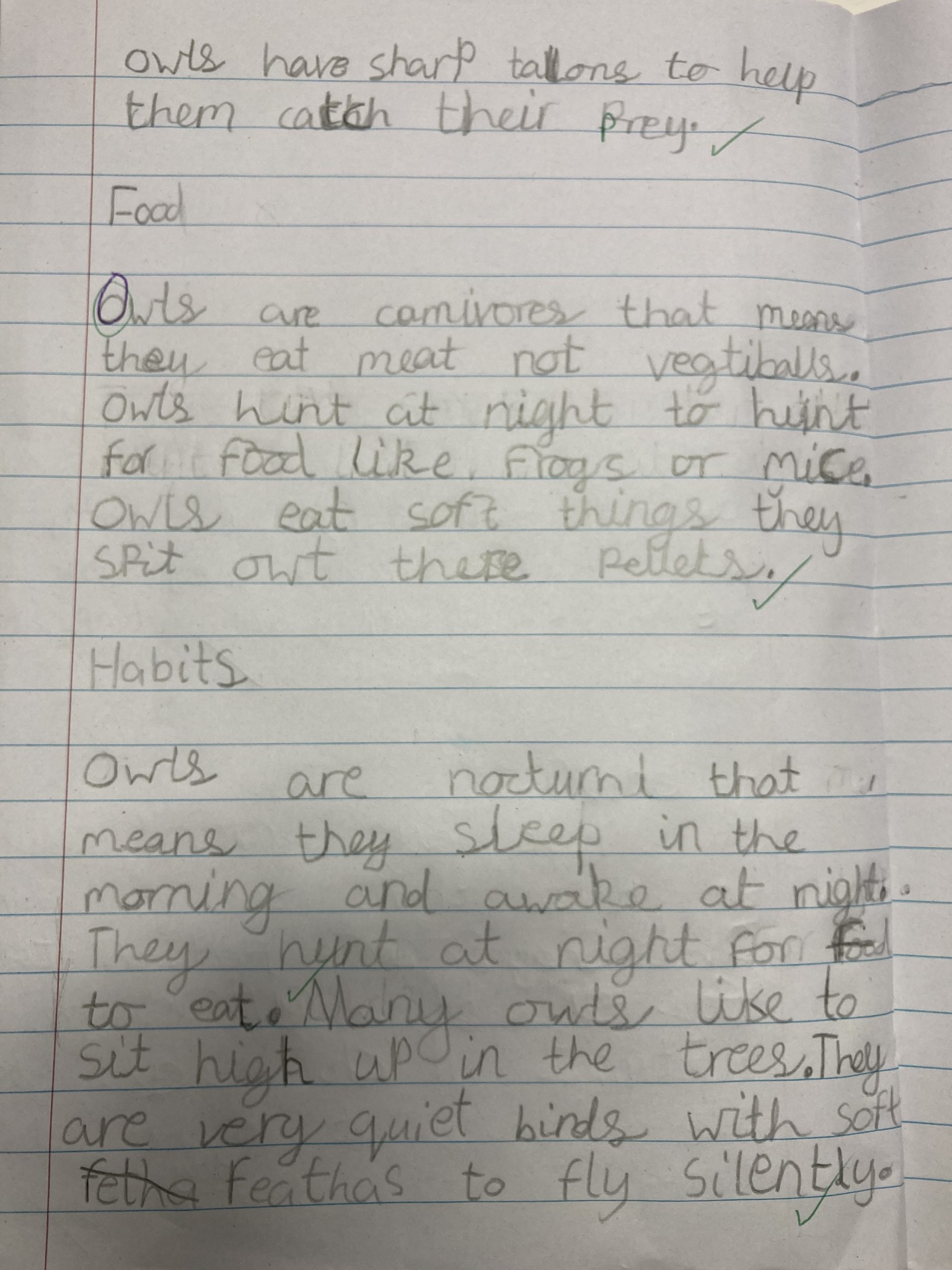 Y2 Writing 