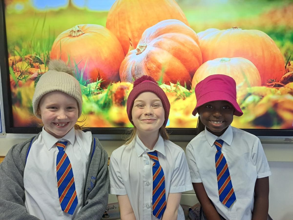 Brighten up for Harvest