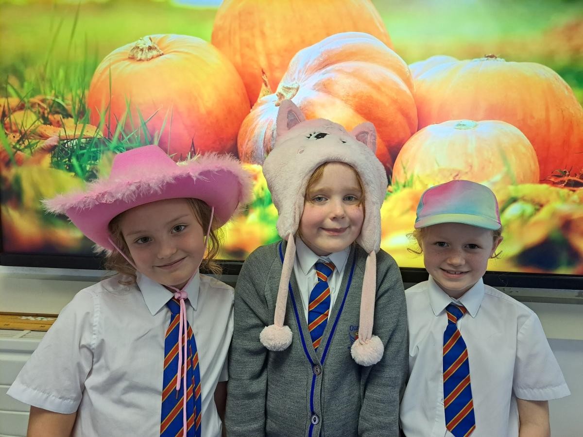 Brighten up for Harvest