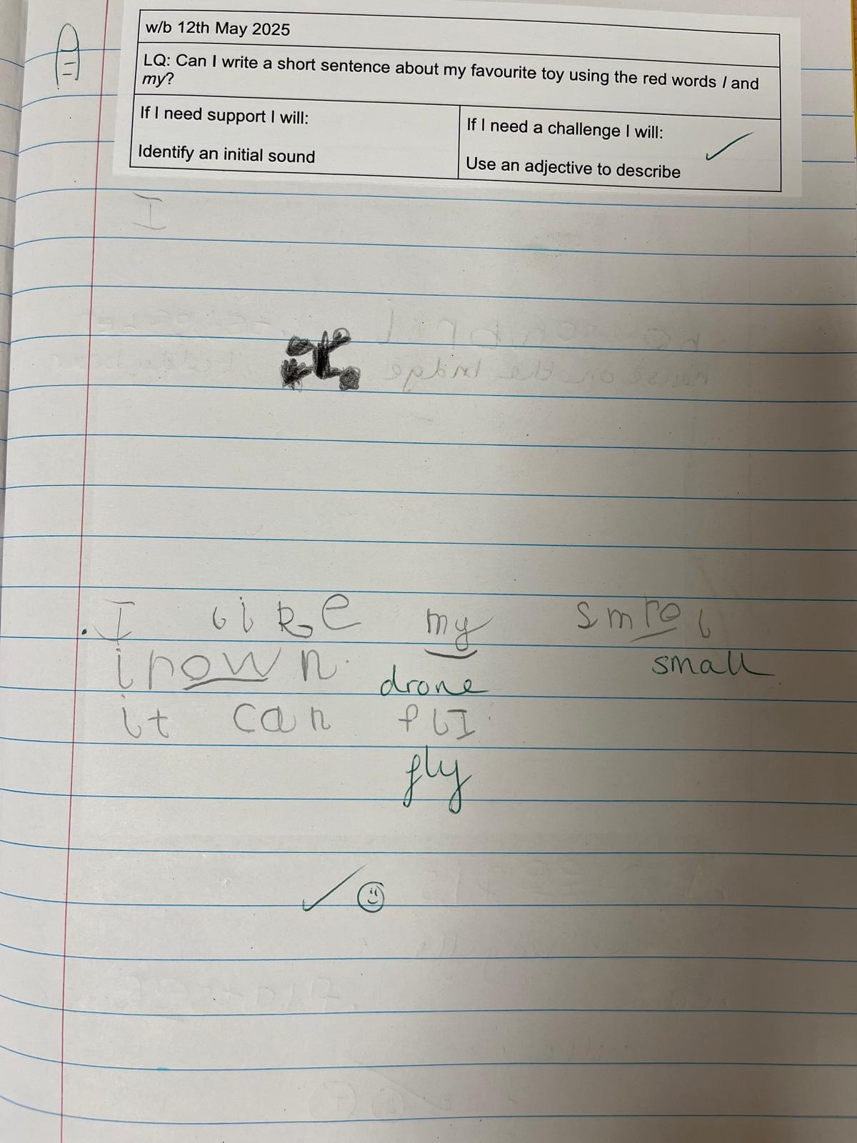 Reception Writing 