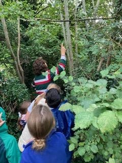 Forest School