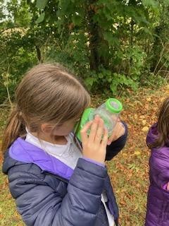 Forest School