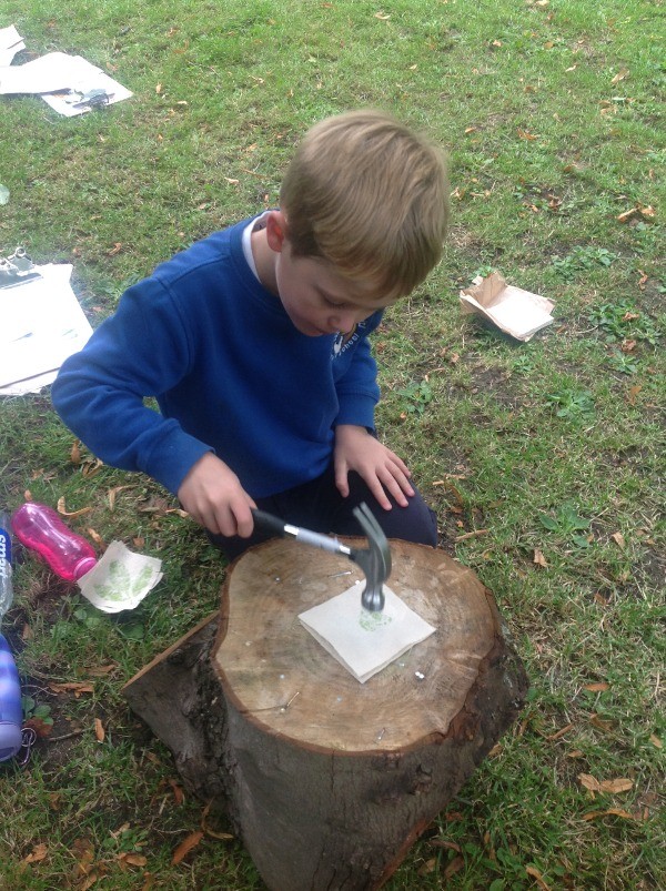 Forest School