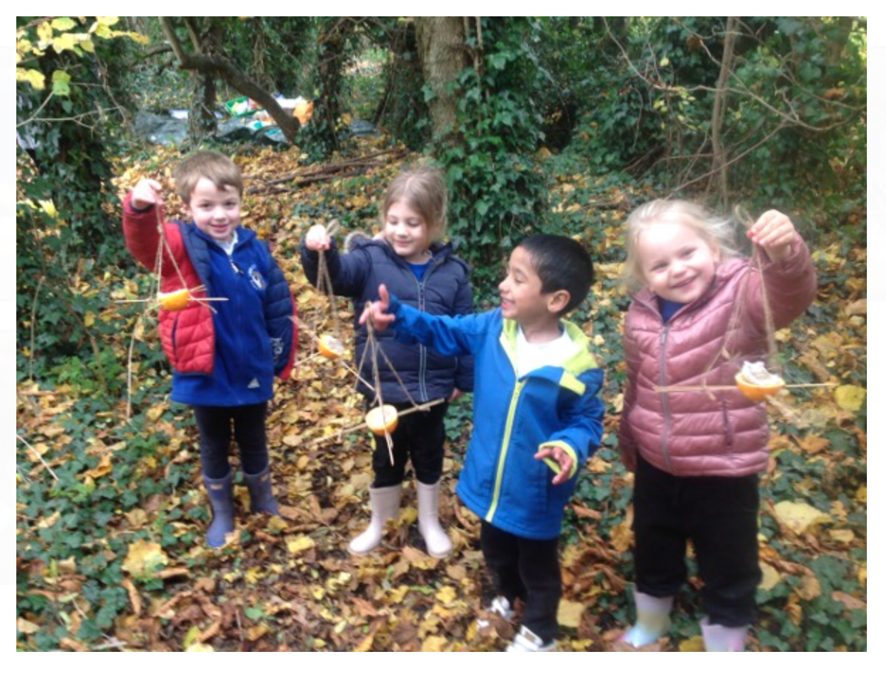 Forest School