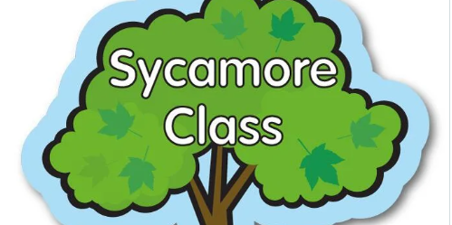 Sycamore Class