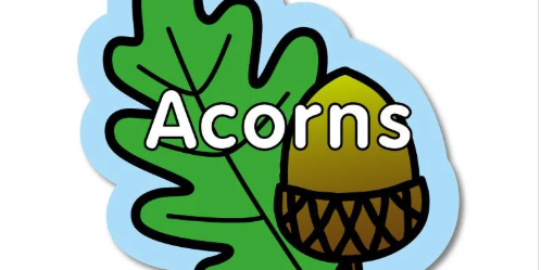 Acorn Class