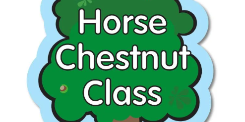 Horse Chestnut Class
