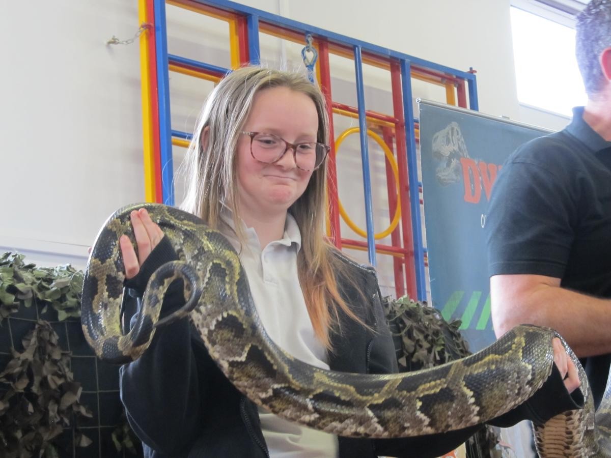Snake