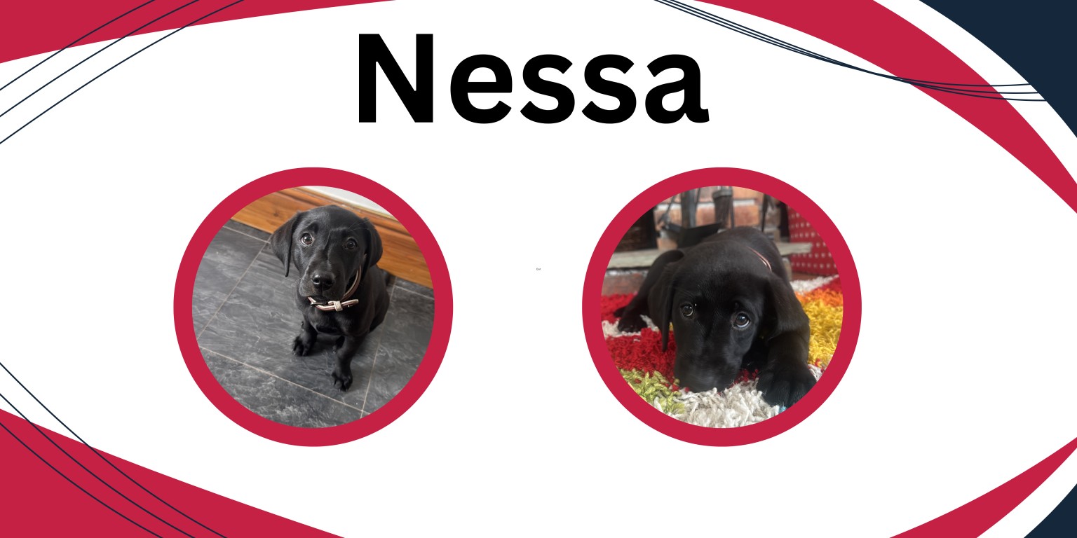 nessa