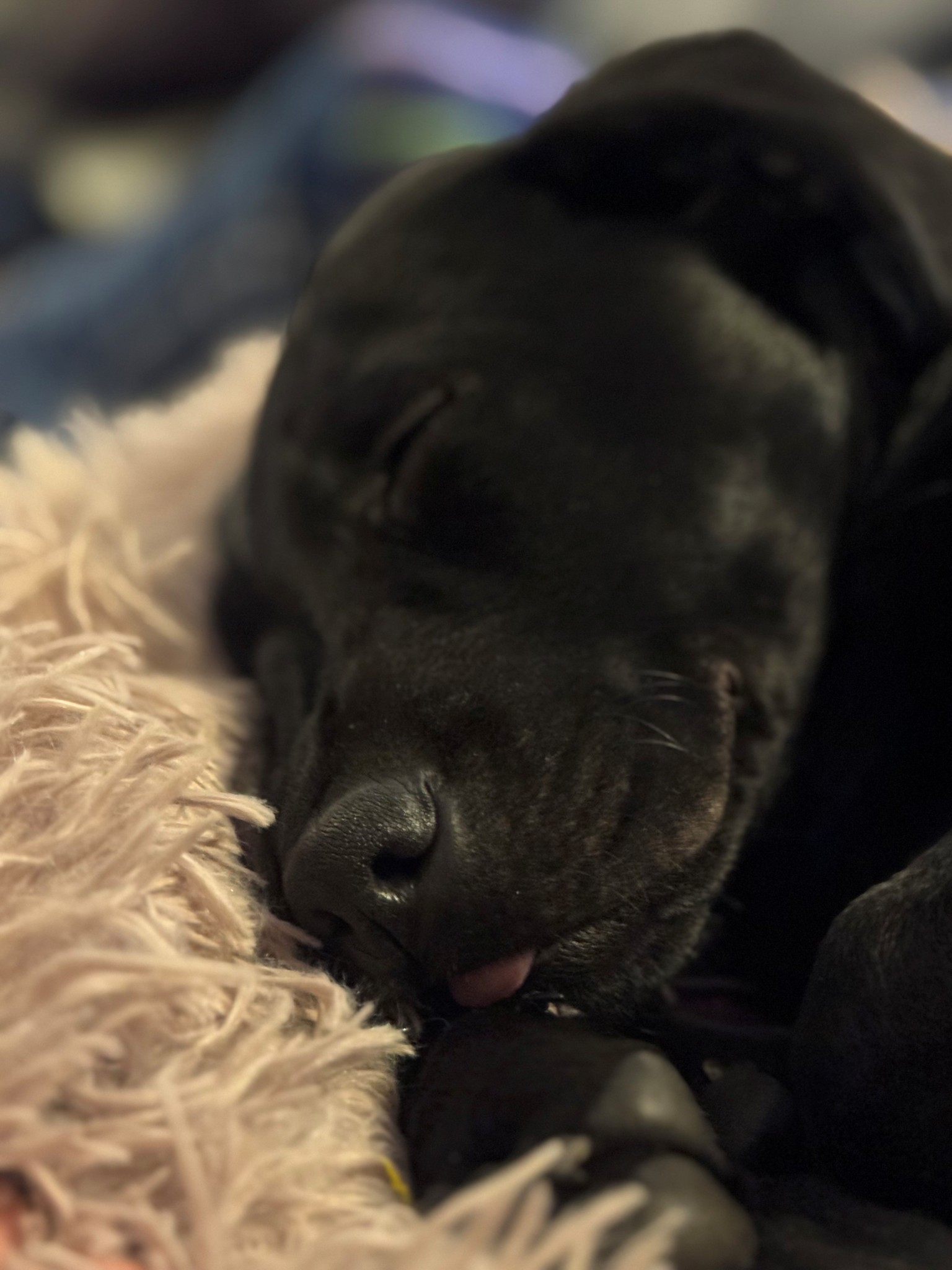 asleep