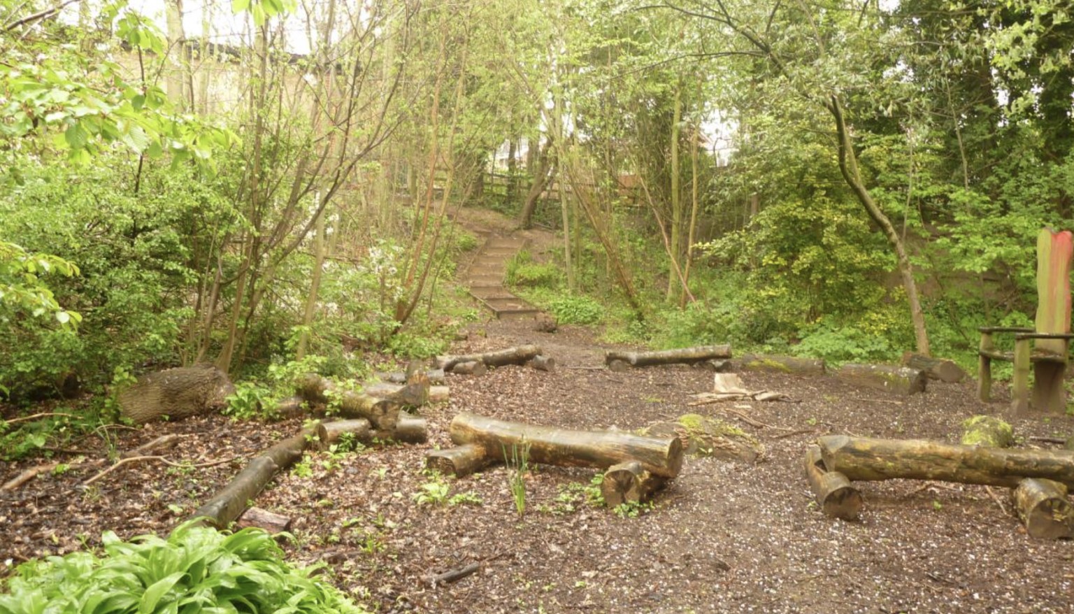 Forest School
