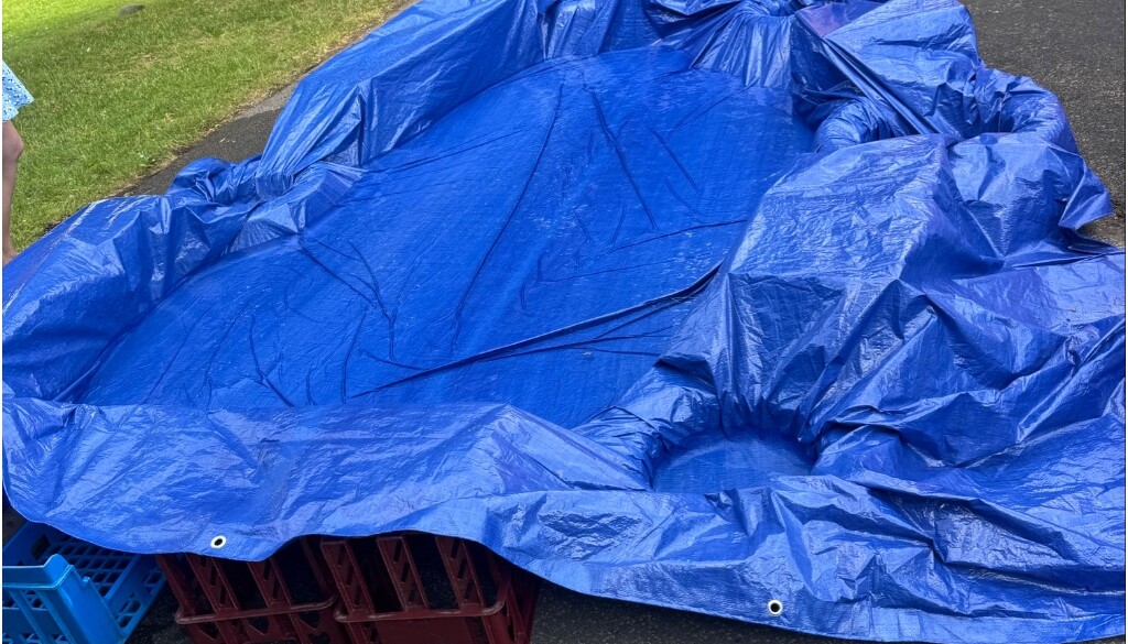 paddling pool fun