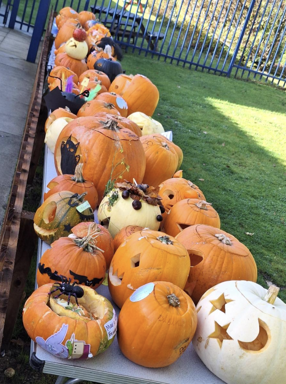 Halloween pumpkins