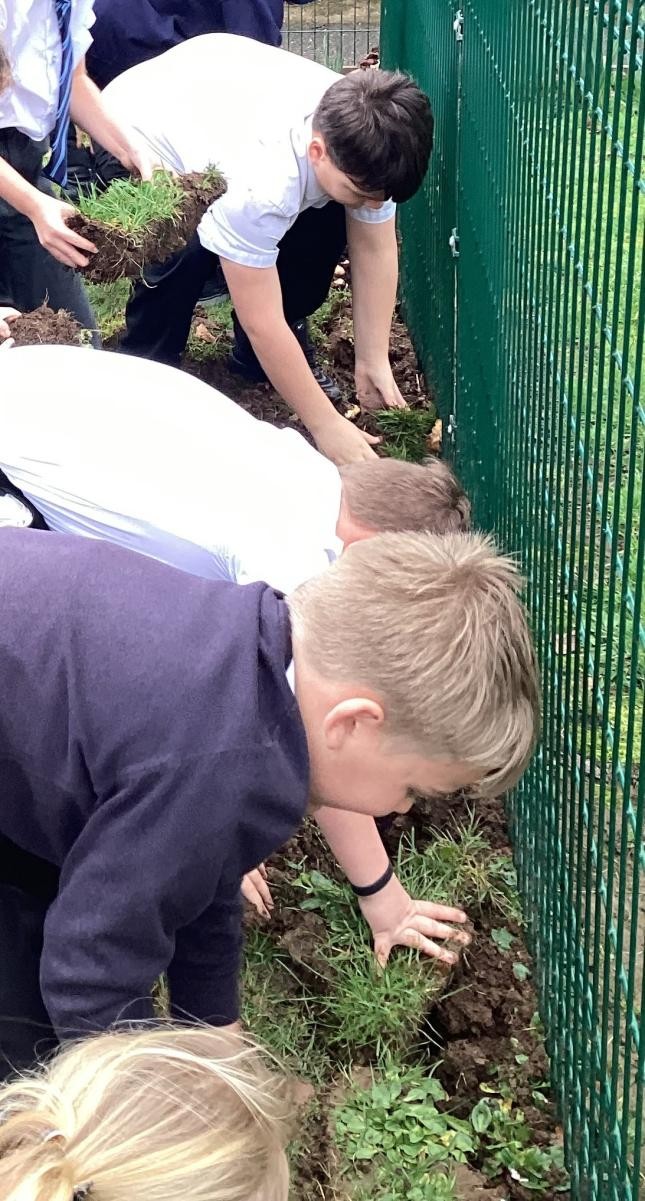 Planting trees and bulbs around the school.