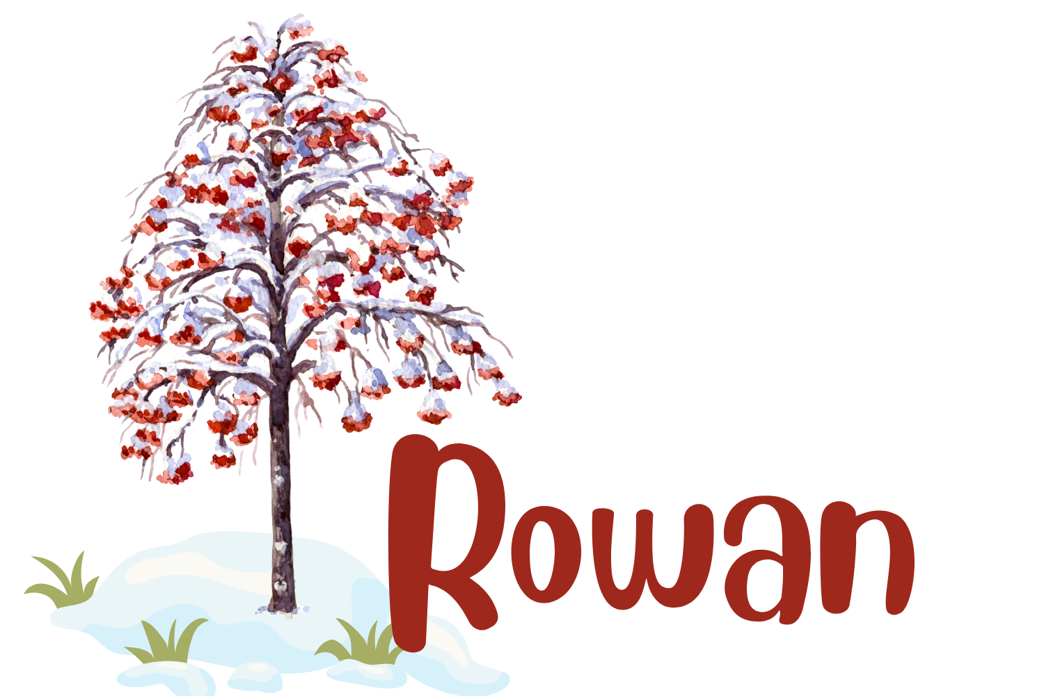 Rowan