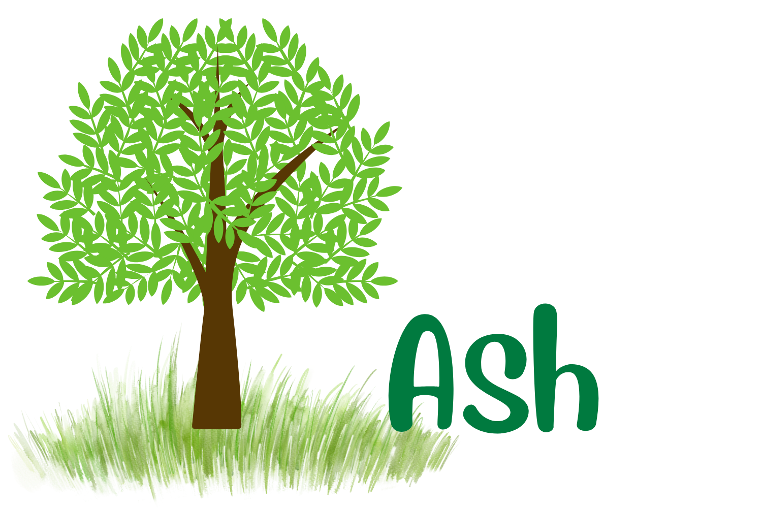 Ash