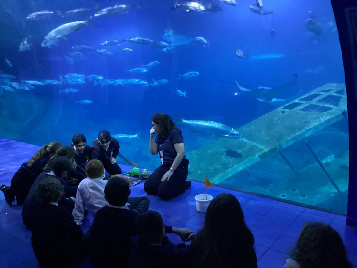 The school Eco-Council were invited to attend the Ocean Climate Nexus Conference, Plymouth Aquarium.