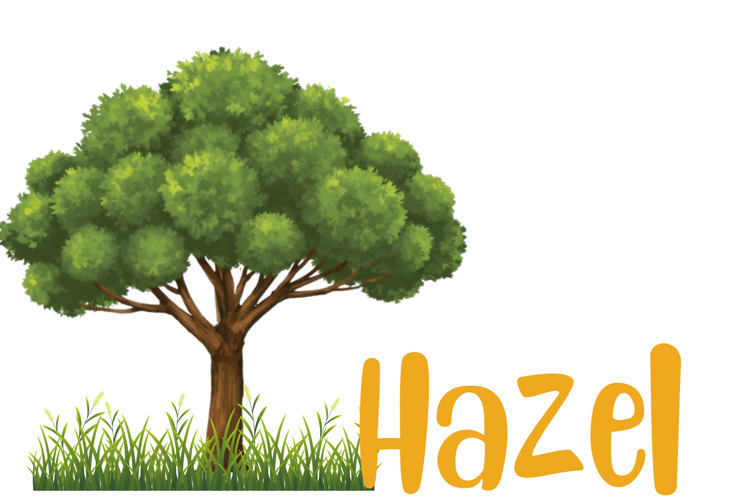 Hazel