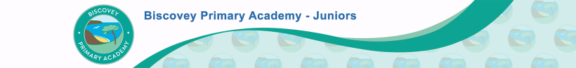 Biscovey Primary Academy - Juniors