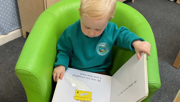 Looking at books