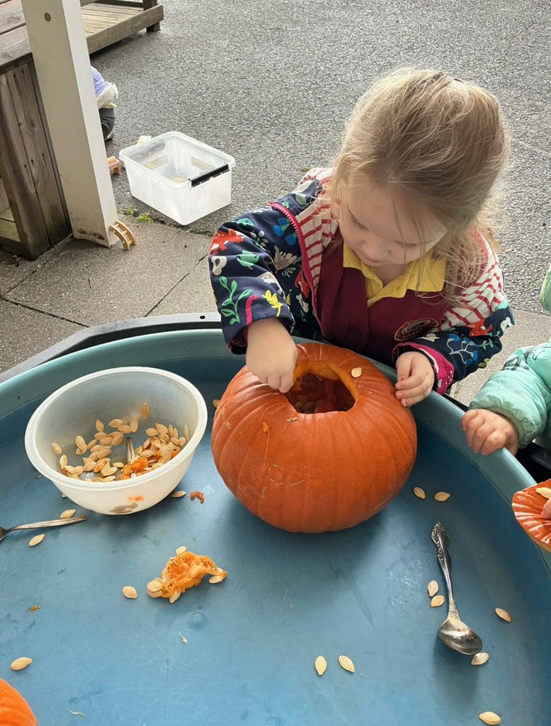 Pumpkin play