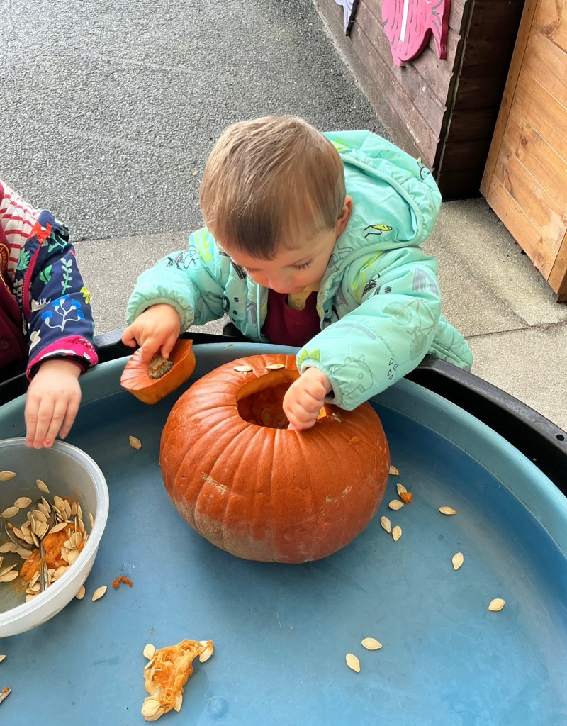 Exploring Pumpkins