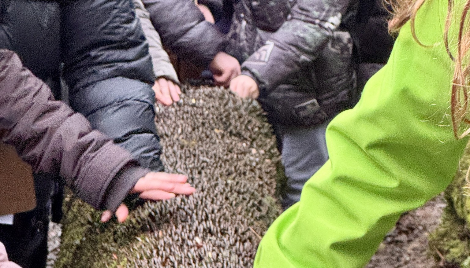 Year 6 Geography Trip to St Nectan's Glen