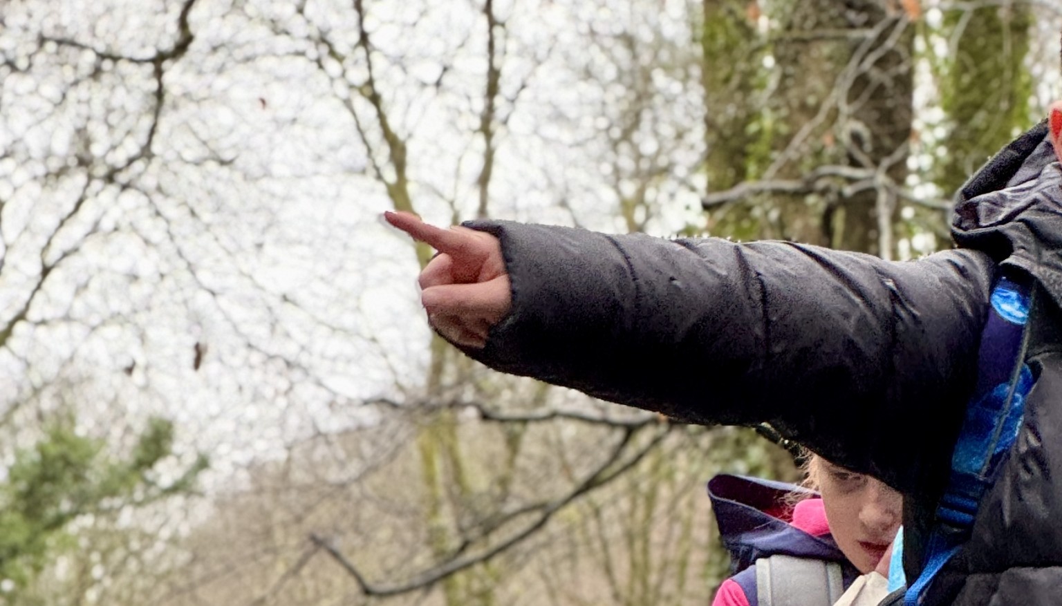 Year 6 Geography Trip to St Nectan's Glen