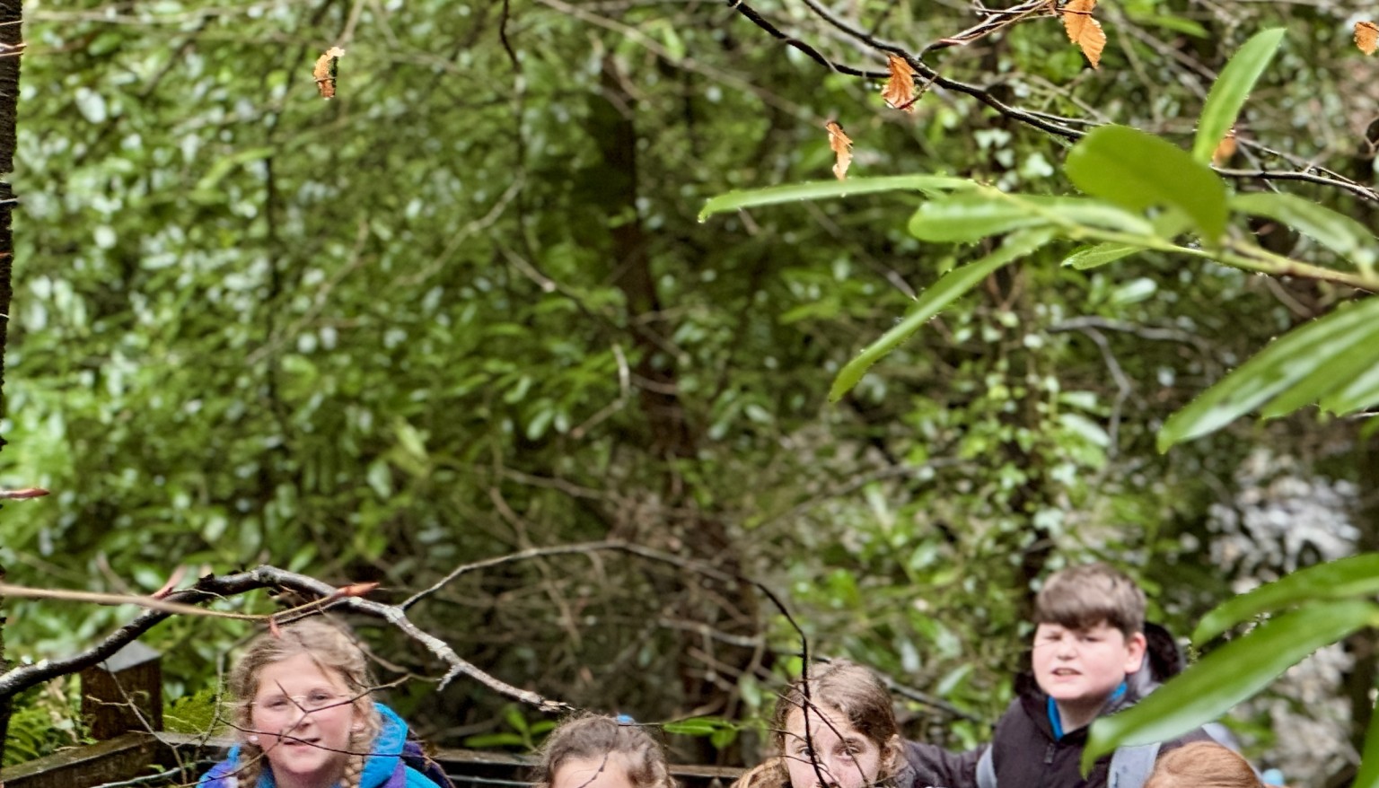 Year 6 Geography Trip to St Nectan's Glen