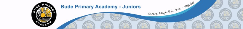 Bude Primary Academy - Juniors