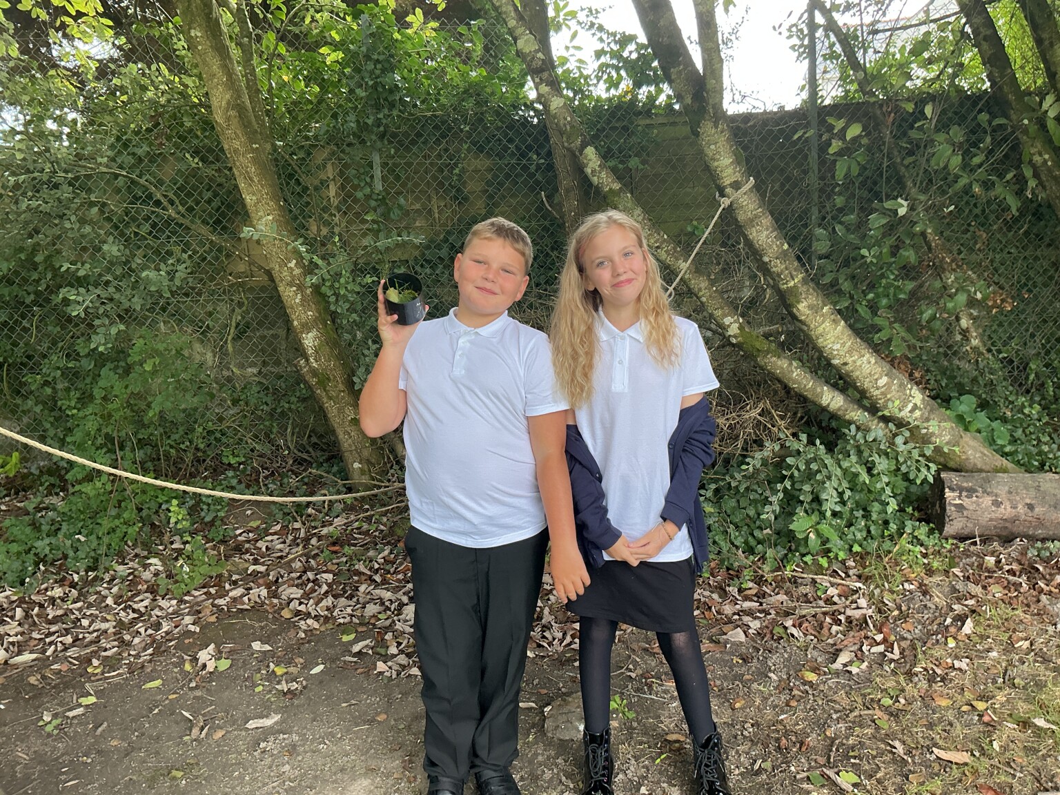 Surviving the rainforest