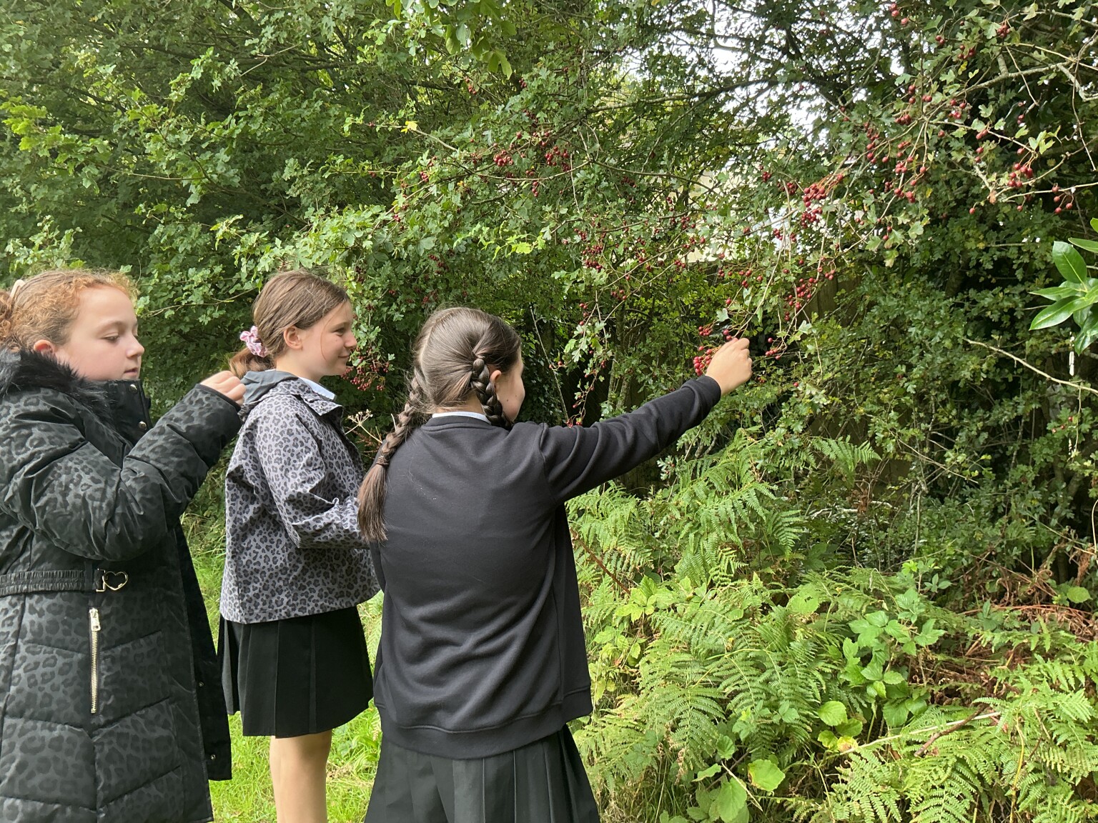 Surviving the rainforest