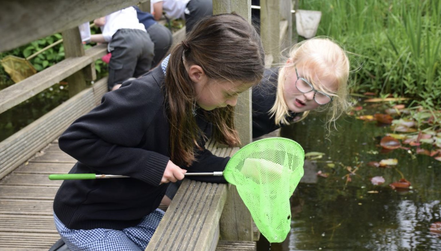 Pond Dipping