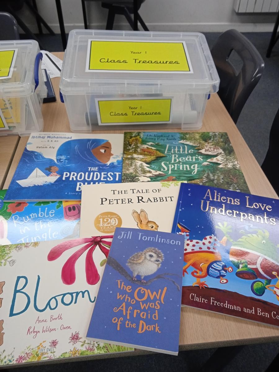 Y1 treasure box books