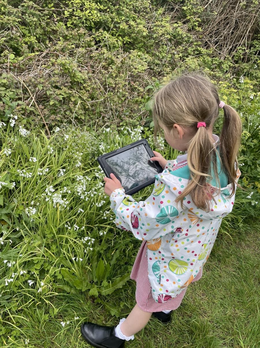 Learning about different types of plants in Science 