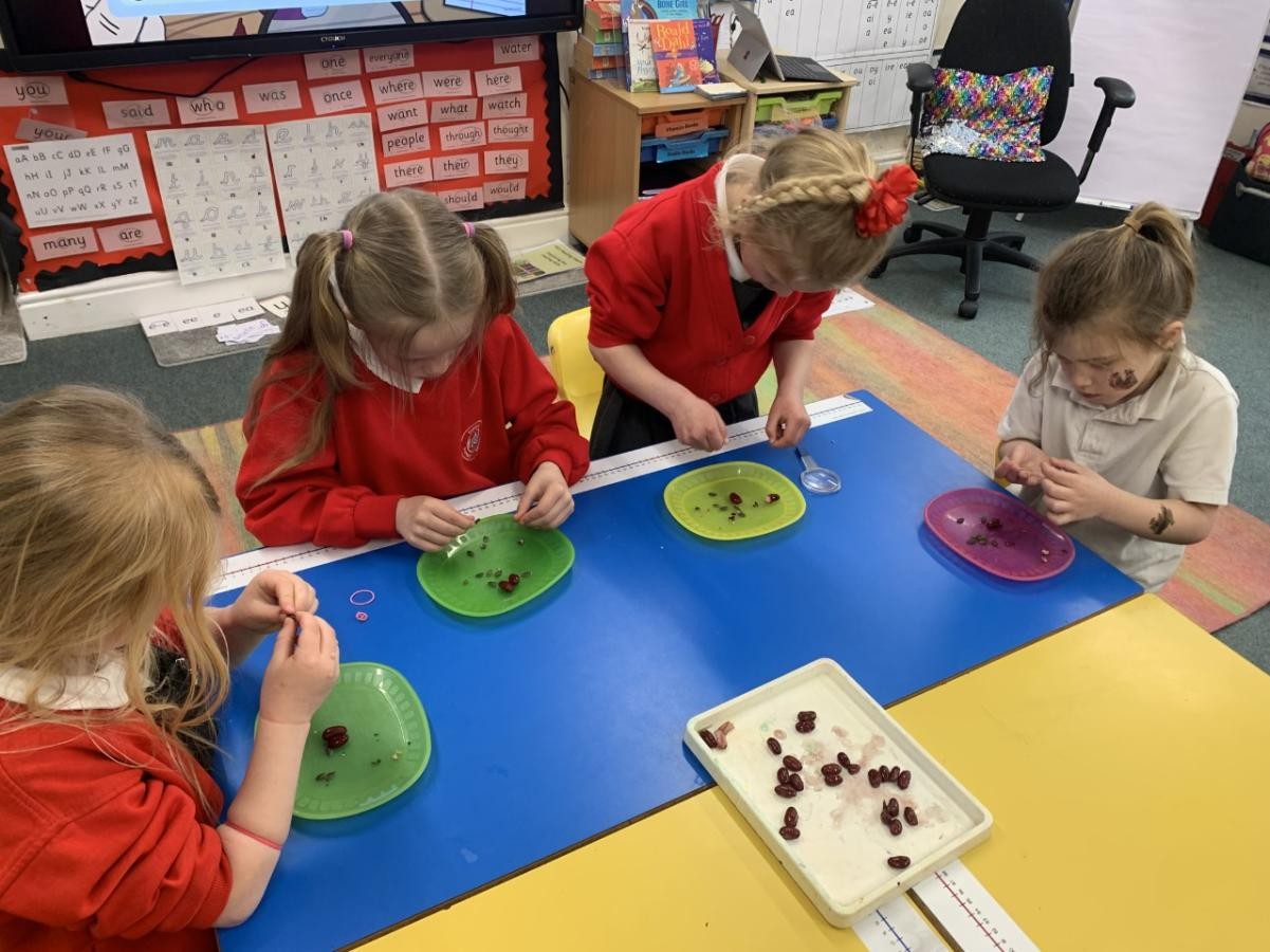 Dissecting seeds in Science 