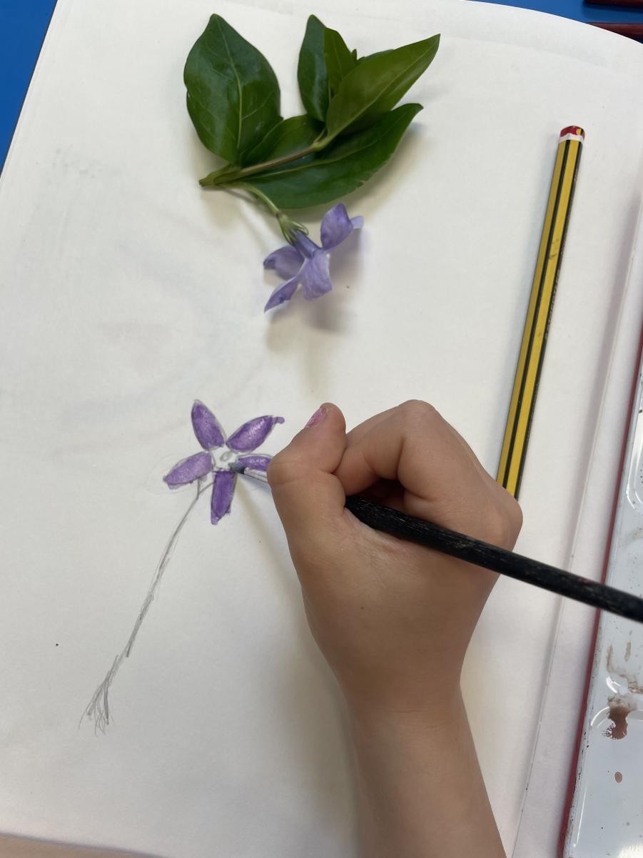 Watercolour paintings of plants and flowers in Art