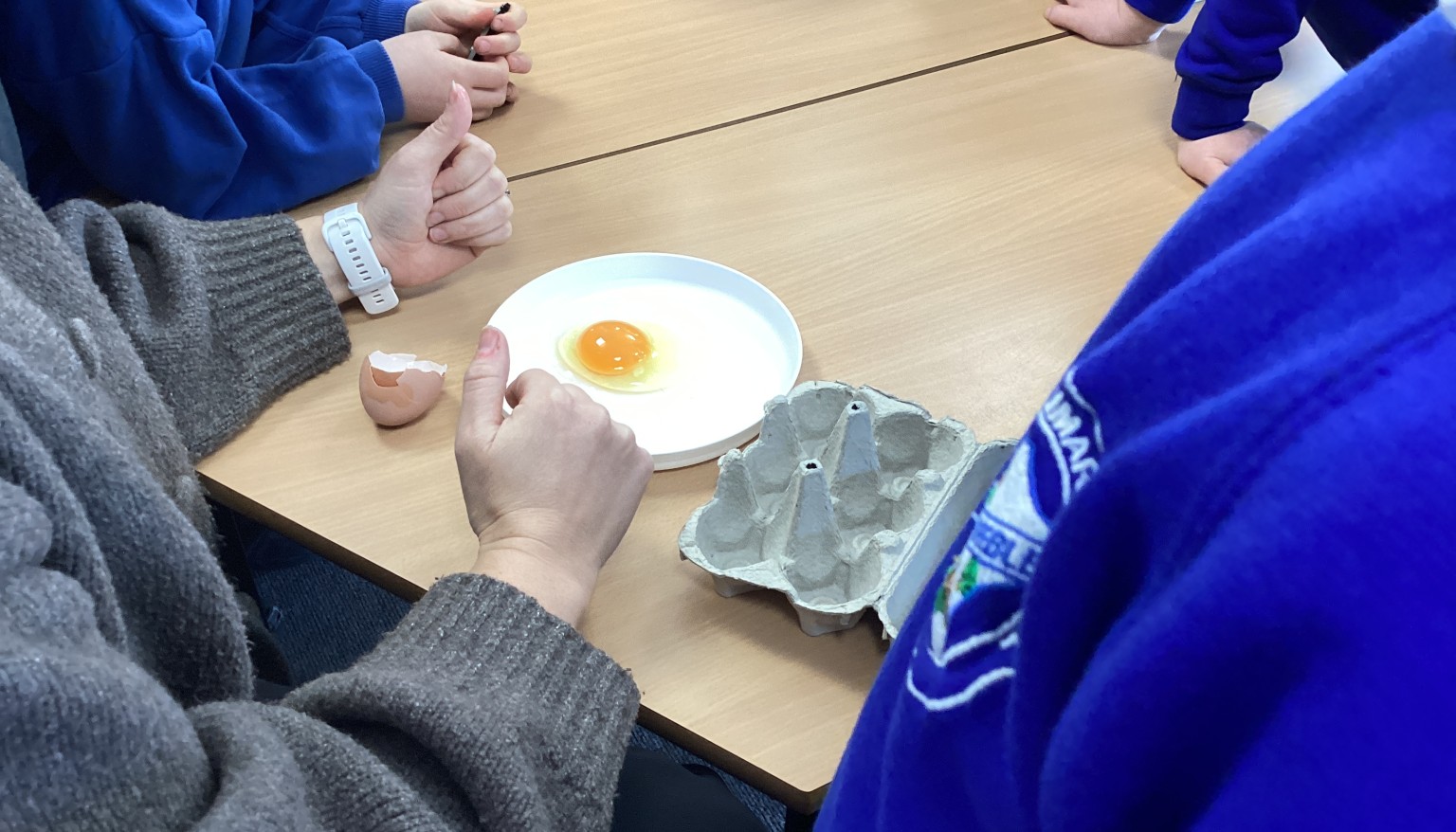 An egg from a chicken belonging to a class member