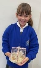Crenver designed and made biomes for different habitats