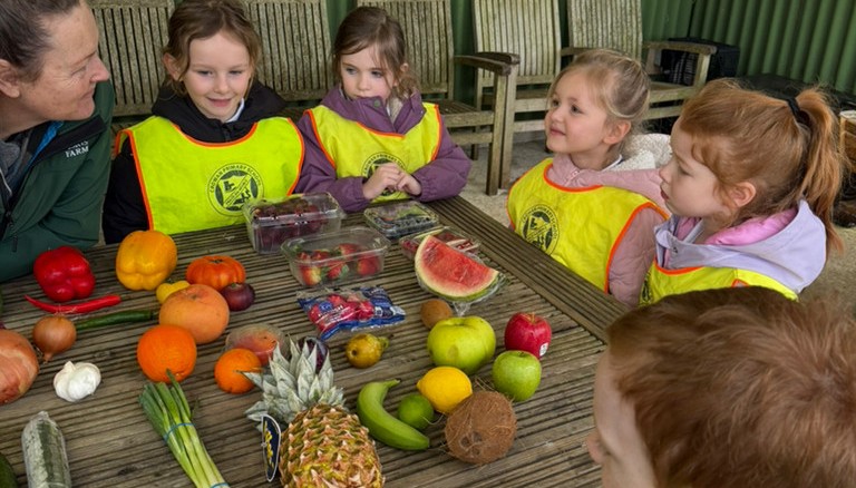 Exploring fruits and festivals 