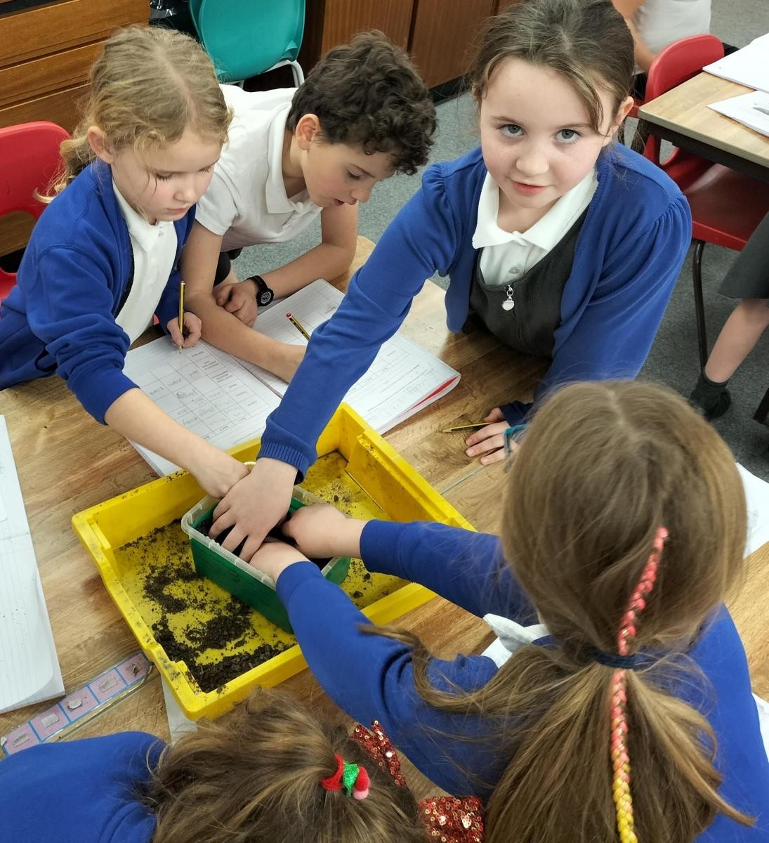 Pengelly explored the properties of different types of soil.