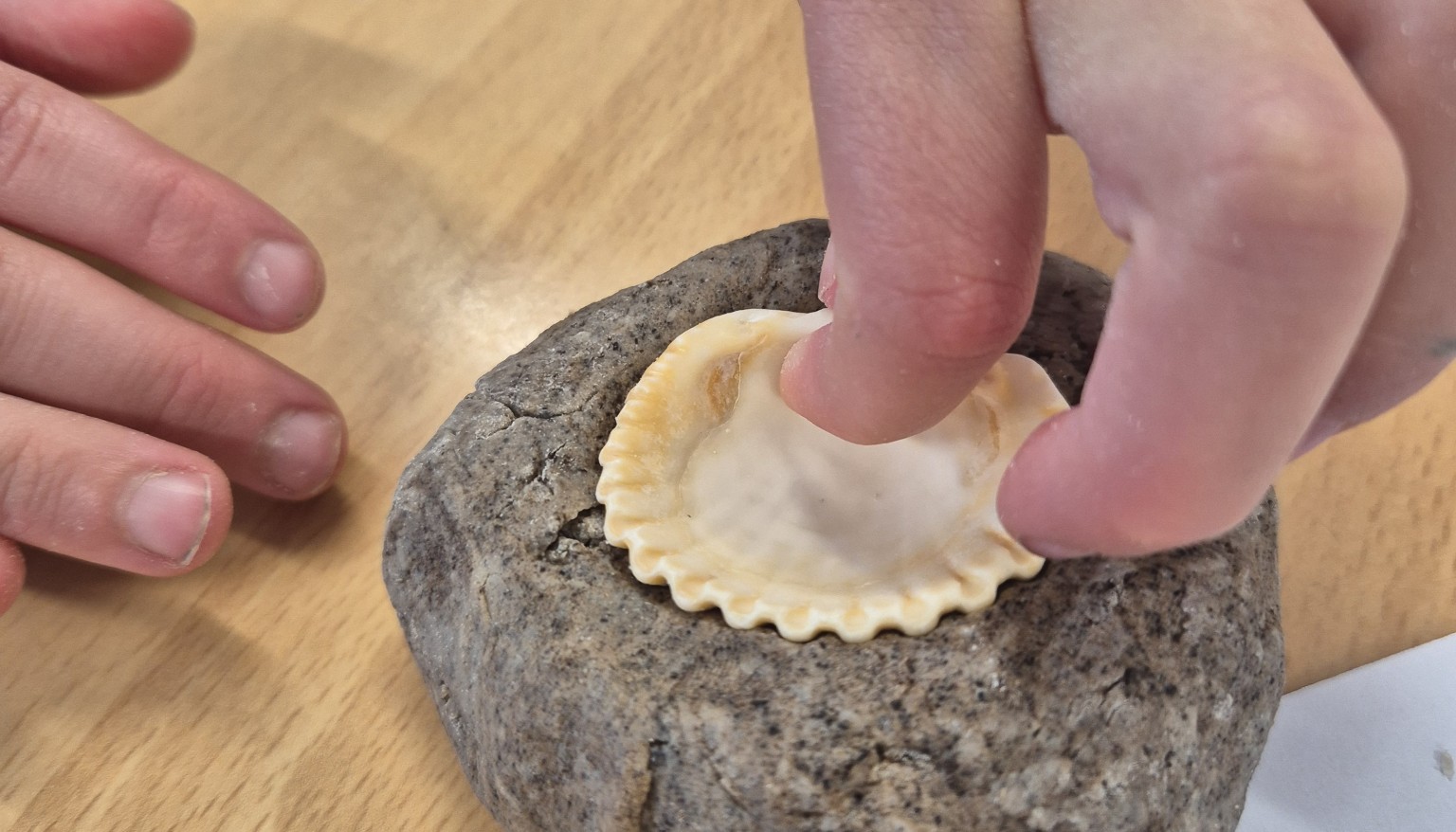 Making our own fossils
