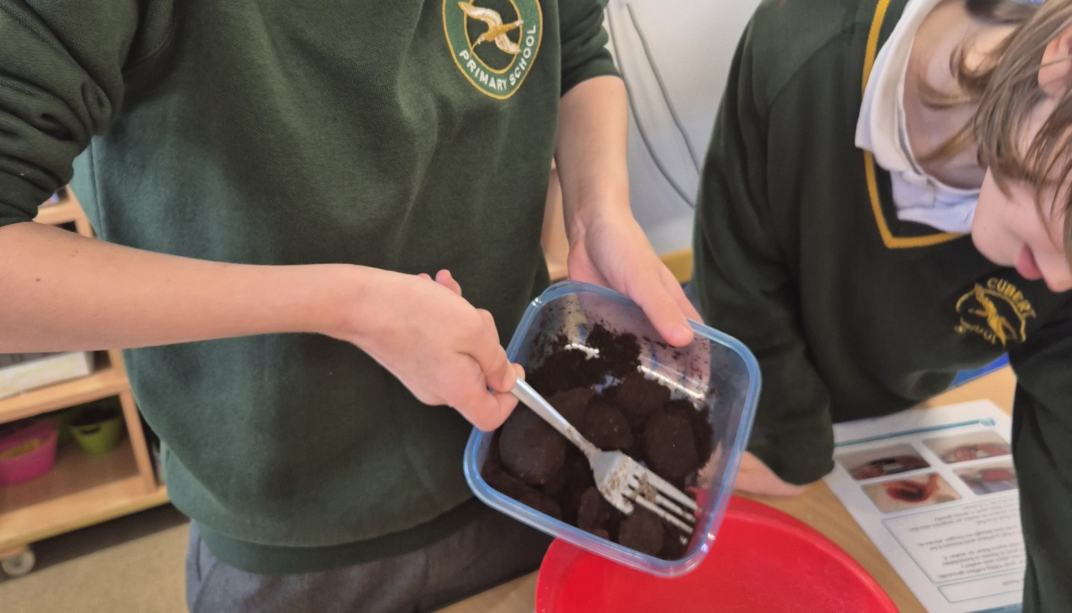 Making our own fossils