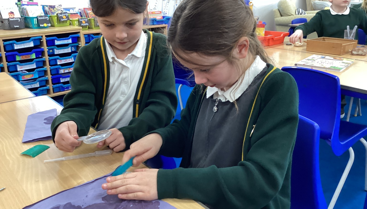 Science - rocks and soils